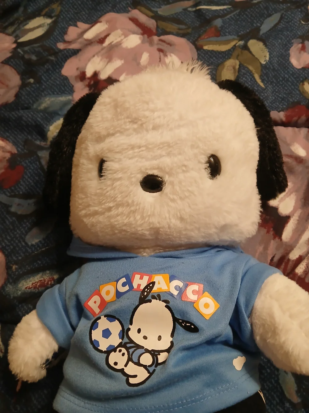 Hello Kitty Plush Dog in White, Black & Blue Shirt